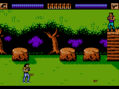Juega Nintendo NES Games en línea - Retro Games